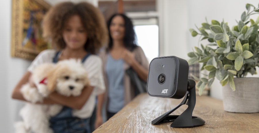 Indoor security cameras in Little Rock 